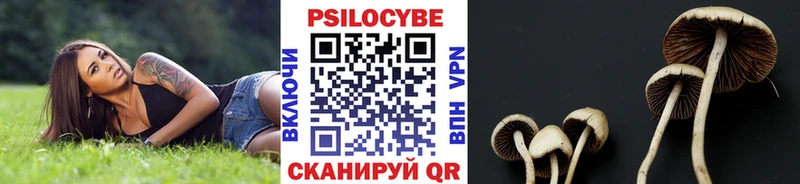 Псилоцибиновые грибы MAGIC MUSHROOMS  Кувандык 
